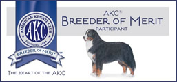 AKC-american-kennel-club