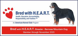 bred-with-heart-member