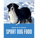 sport dog food