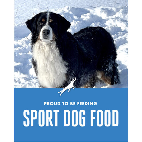 sport dog food banner